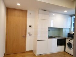 The Peak @ Cairnhill II (D9), Apartment #442505311